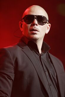 Pitbull Энциклопедия Руниверсалис 